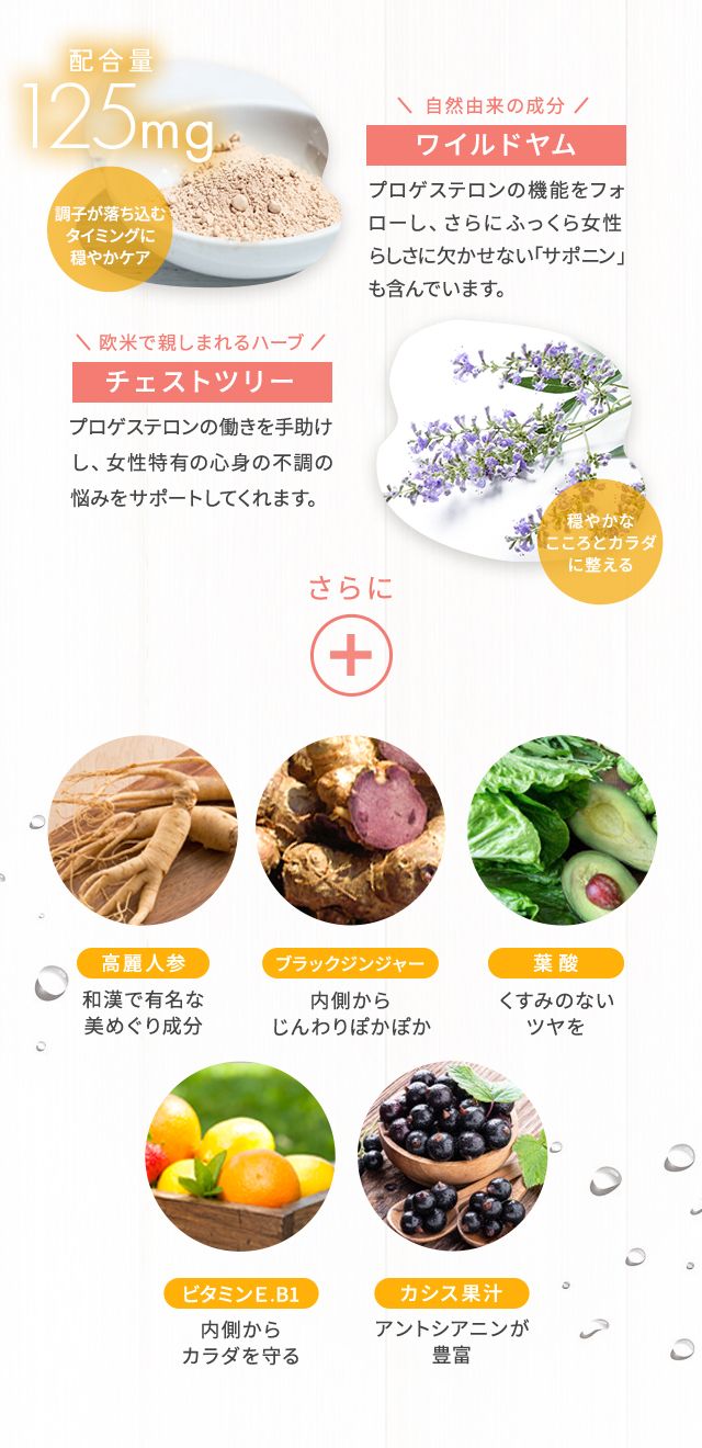 FD07_insta_new_lp3_5.jpg