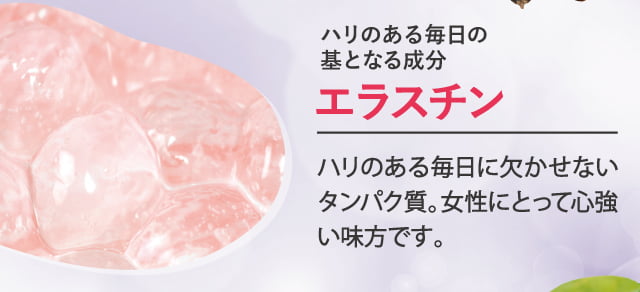 エラスチン