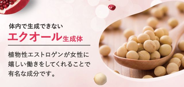 エクオール生成体