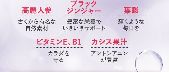 高麗人参 ブラックジンジャー 葉酸 ビタミンB1 カシス果汁