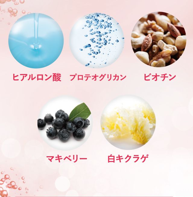 ヒアルロン酸 プロテオグリカン ビオチン マキベリー 白キクラゲ