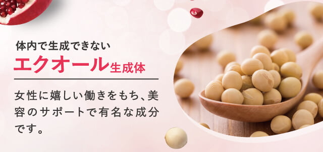 エクオール生成体