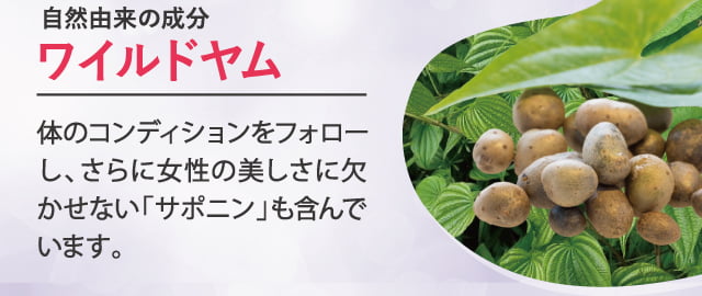 ワイルドヤム
