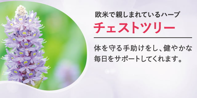 チェストツリー