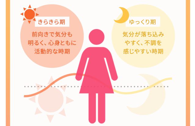 きらきら期 前向きで気分も明るく、心身ともに活動的な時期 ゆっくり期気分が落ち込みやすく、不調を感じやすい時期
