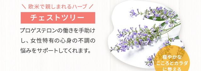 欧米で親しまれるハーブ チェストベリー プロゲステロンの働きを手助けし、女性特有の心身の不調の悩みをサポートしてくれます。