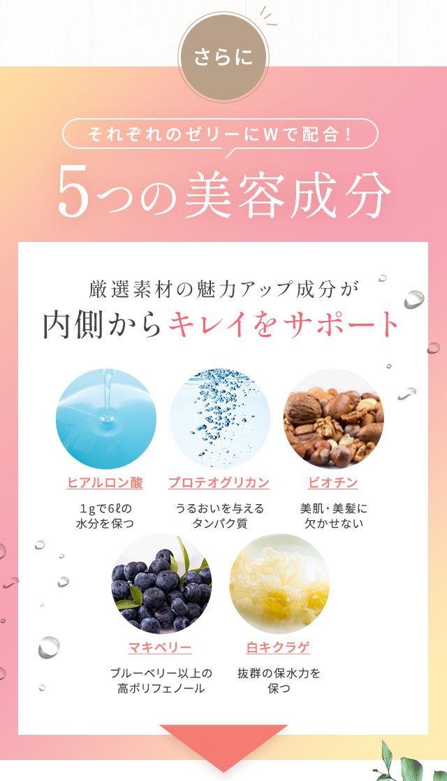 さらにそれぞれのゼリーにWで配合!5つの美容成分 厳選素材の魅力アップ成分が内側からキレイをサポート ヒアルロン酸・1gで6ℓの水分を保つ プロテオグリカン・潤いを与えるタンパク質 ビオチン・美肌・美髪に欠かせない マキベリー・ブルーベリー以上のポリフェノール 白キクラゲ・抜群の保水力を保つ